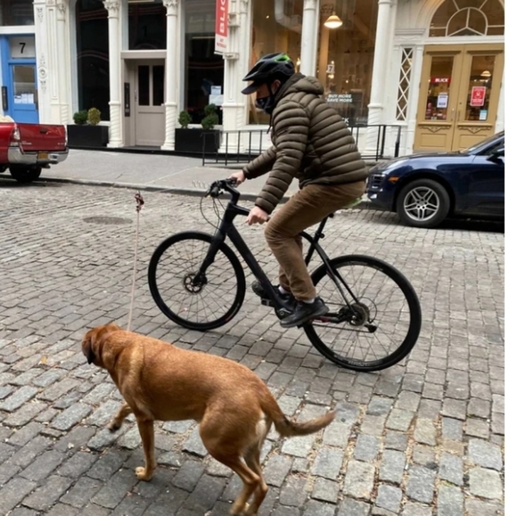 kirkerLand Other - Dog Leash Bike Clip